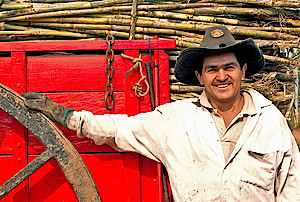 Zuckerrohr-Bauer in Paraguay